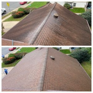 Roof Cleaning Manassas