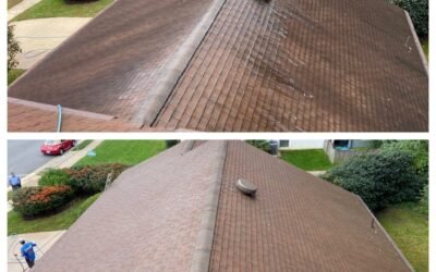 Top Reasons to Choose Soft Wash Roof Cleaning in Manassas, VA