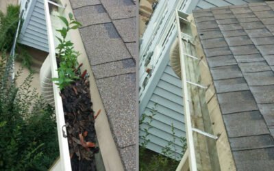 What to Know Before Hiring a Gutter Cleaning Company