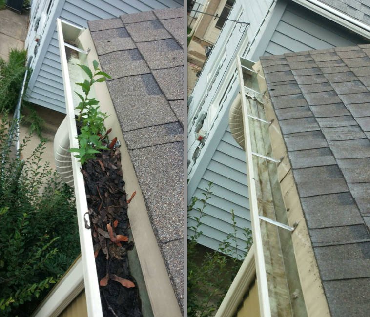 What to Know Before Hiring a Gutter Cleaning Company