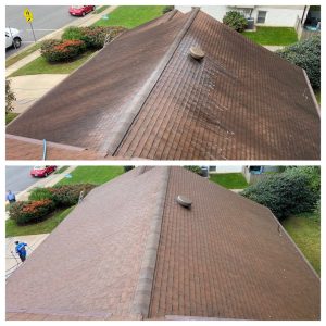 roof cleaning Centerville VA