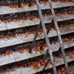 Dead leaves on a staircase in Autumn