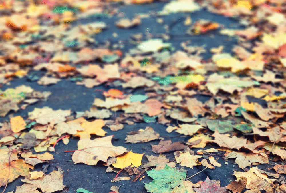 Fall Power Washing Checklist for Woodbridge Homeowners: Protecting Your Property Before Winter