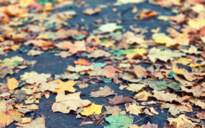 Fall Power Washing Checklist for Woodbridge Homeowners: Protecting Your Property Before Winter